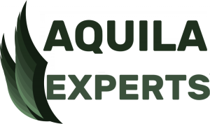 Ambiente Virtual Aquila Consultoria