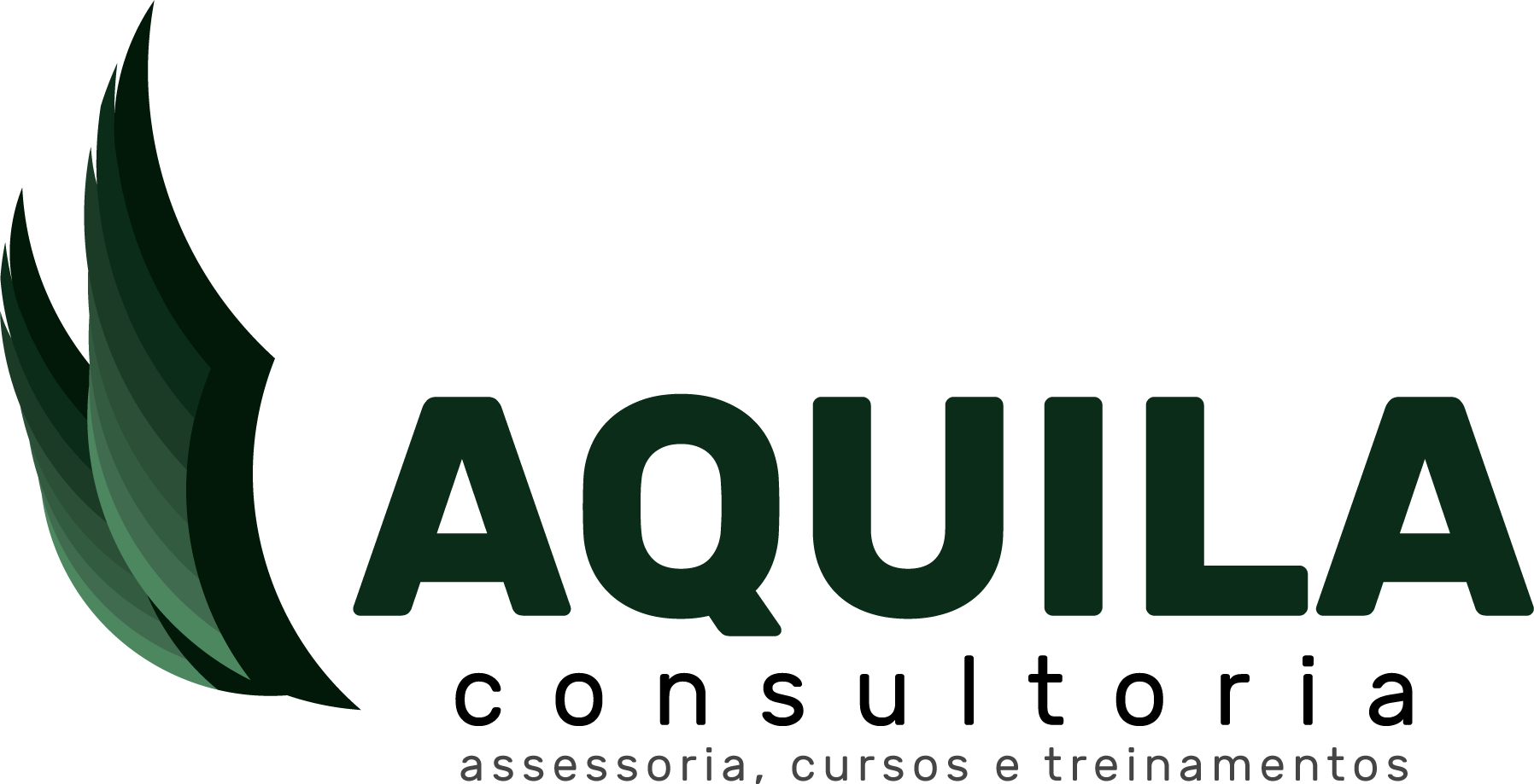Aquila Consultoria